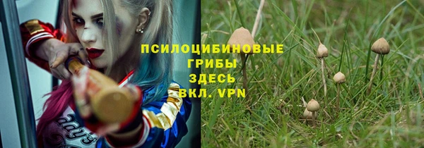 тгк Заводоуковск