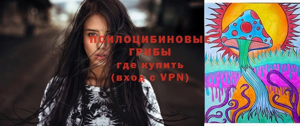тгк Заводоуковск