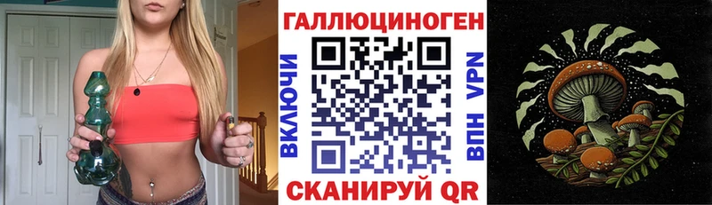 Псилоцибиновые грибы Psilocybe  ОМГ ОМГ сайт  Тихвин 